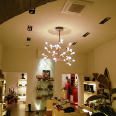 showroom-024-2