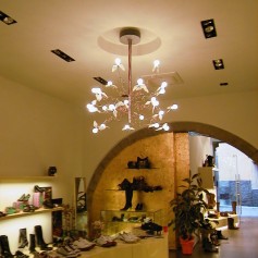 showroom-027-5